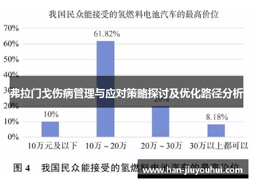 弗拉门戈伤病管理与应对策略探讨及优化路径分析 弗拉门戈伤病管理与应对策略探讨及优化路径分析
