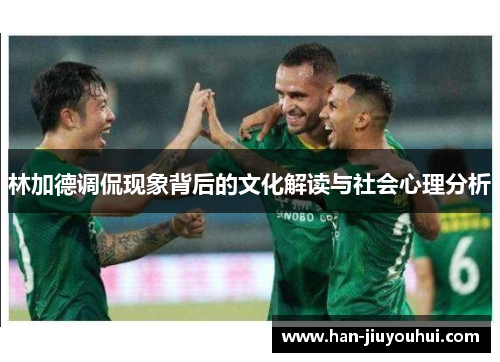 林加德调侃现象背后的文化解读与社会心理分析 林加德调侃现象背后的文化解读与社会心理分析