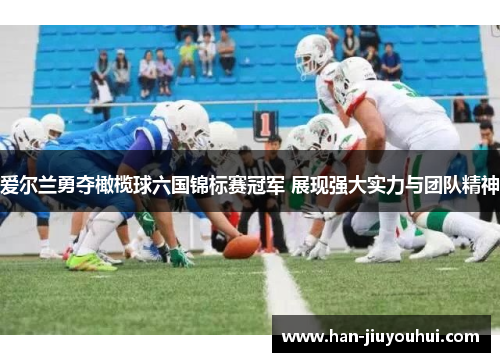 爱尔兰勇夺橄榄球六国锦标赛冠军 展现强大实力与团队精神