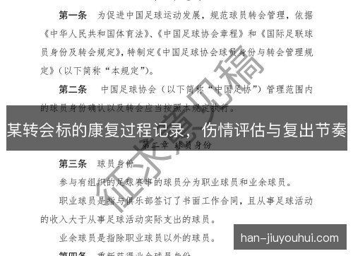 某转会标的康复过程记录，伤情评估与复出节奏