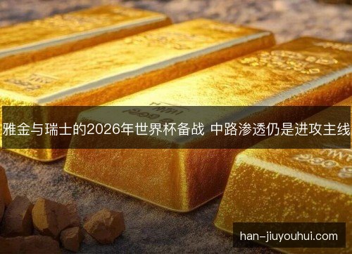 雅金与瑞士的2026年世界杯备战 中路渗透仍是进攻主线